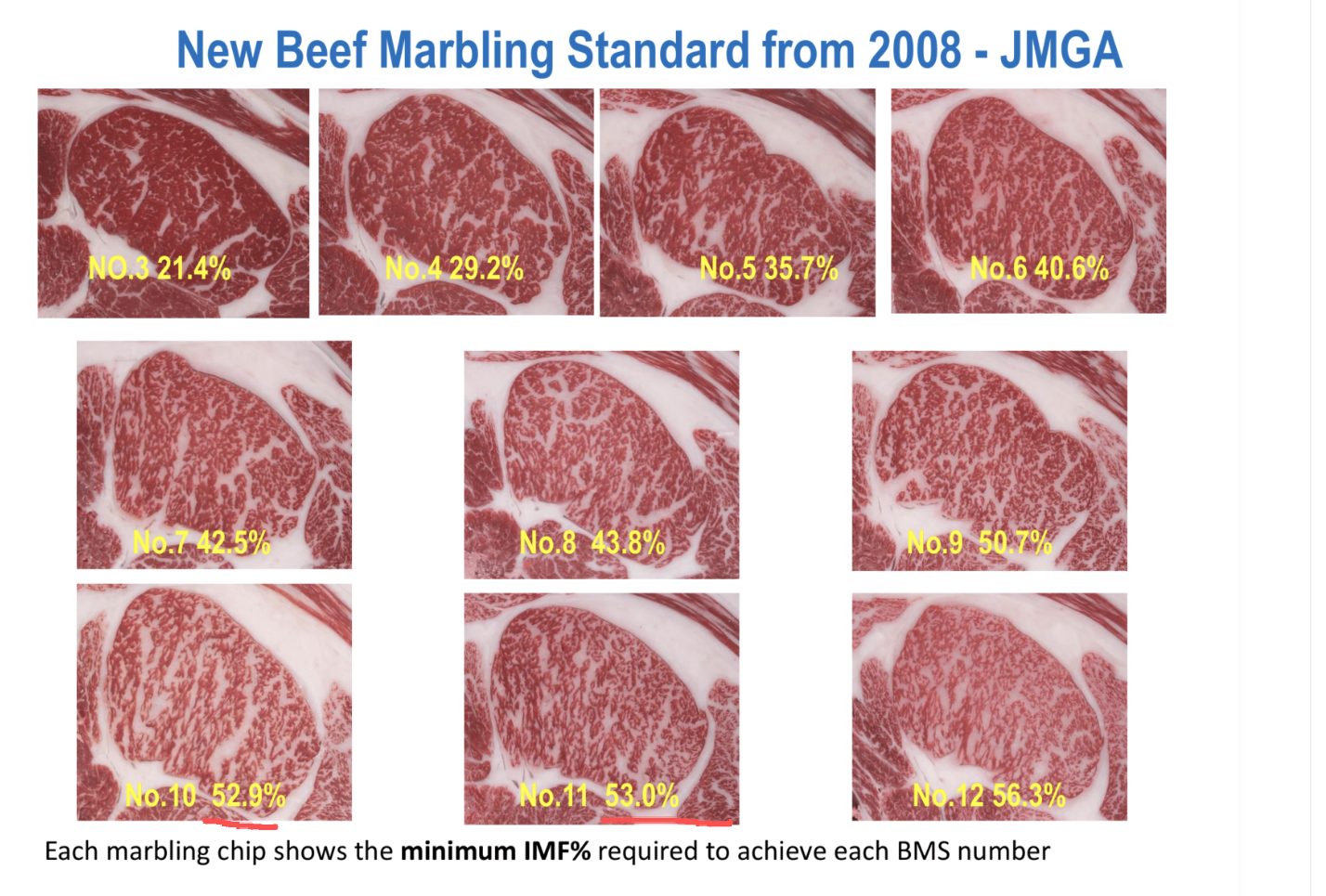 JMGA 2008 脂肪百分比对照表